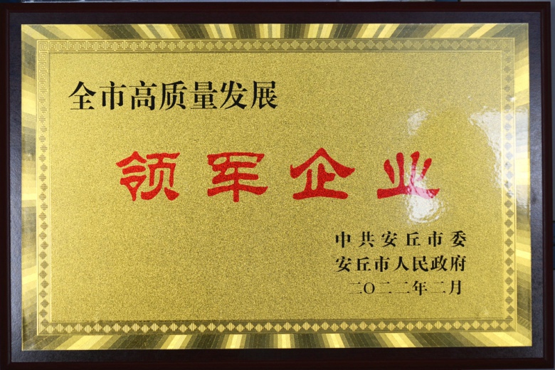 喜讯：亚美am8(中国)机械获安丘市高质量开展 “领军企业”荣誉称号